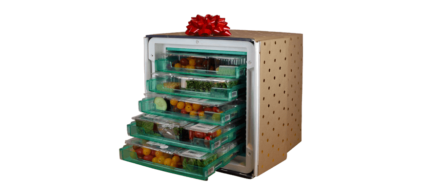 best womens christmas gifts
