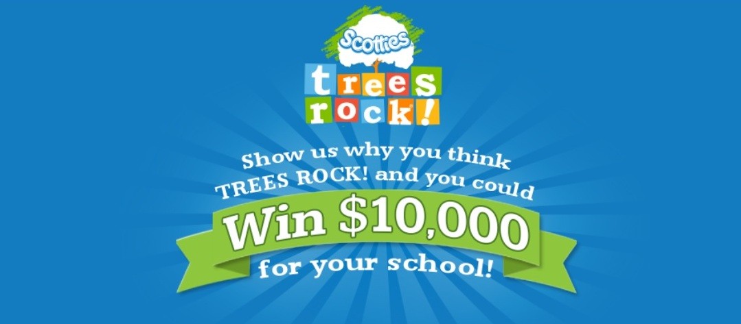 Scotties Trees Rock Contest