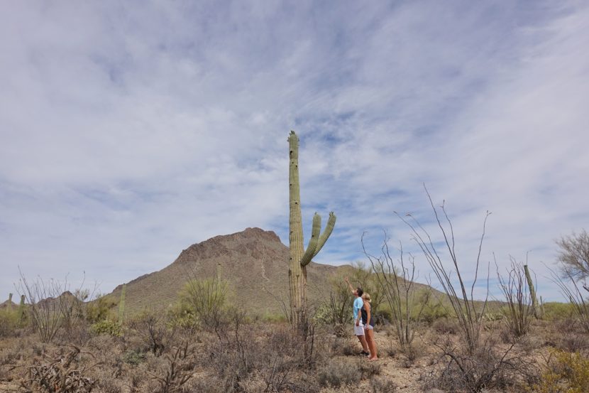 best things to do in Arizona