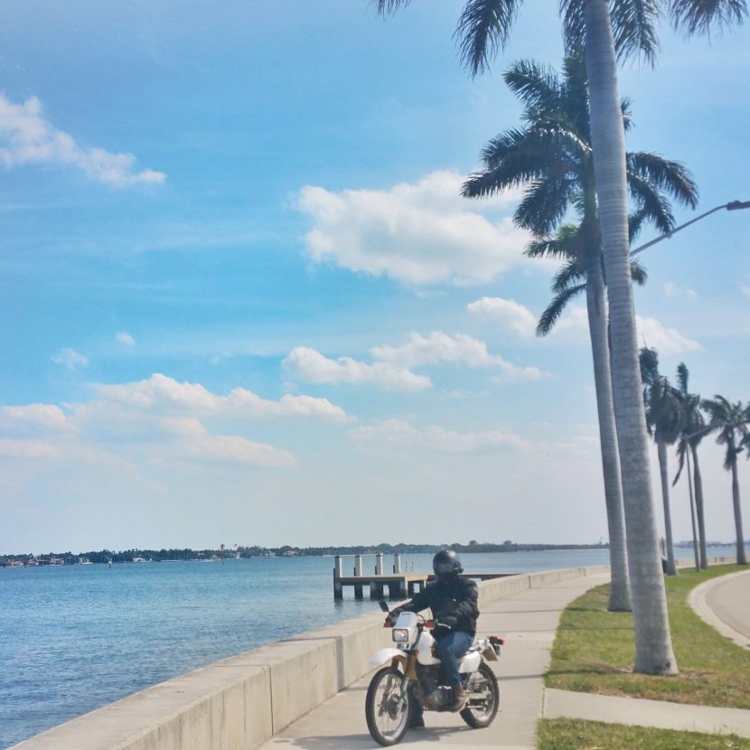 best things to do in Palm Beach