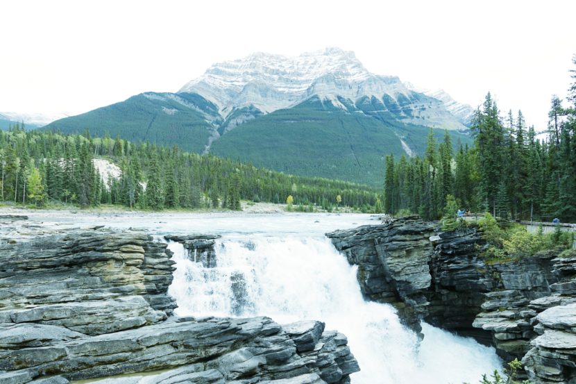 best things to do in Alberta