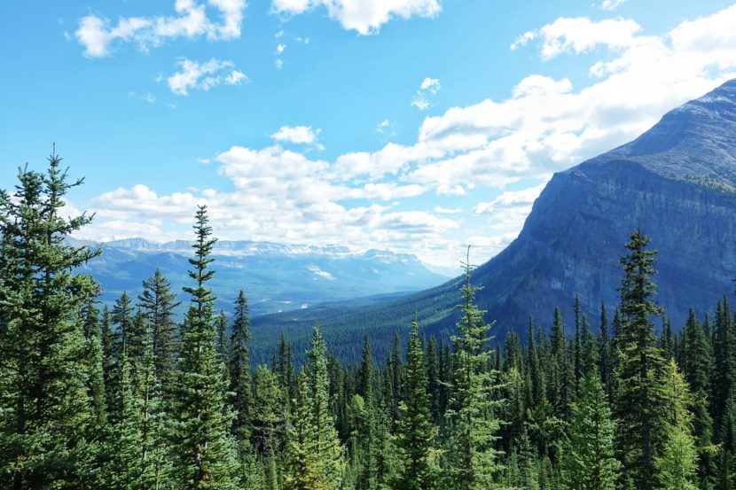 best things to do in Alberta