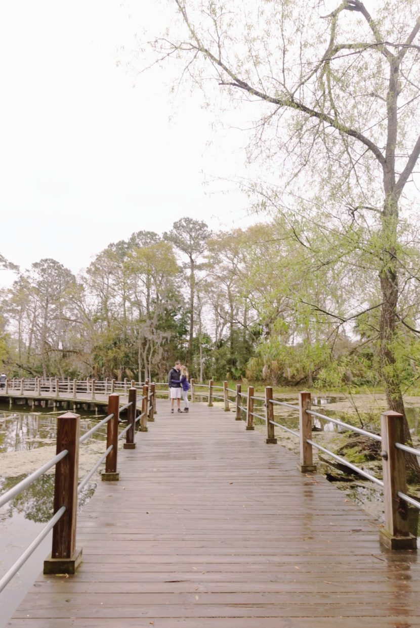 best things to do in South Carolina
