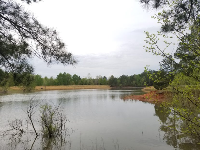 best things to do in Tennessee