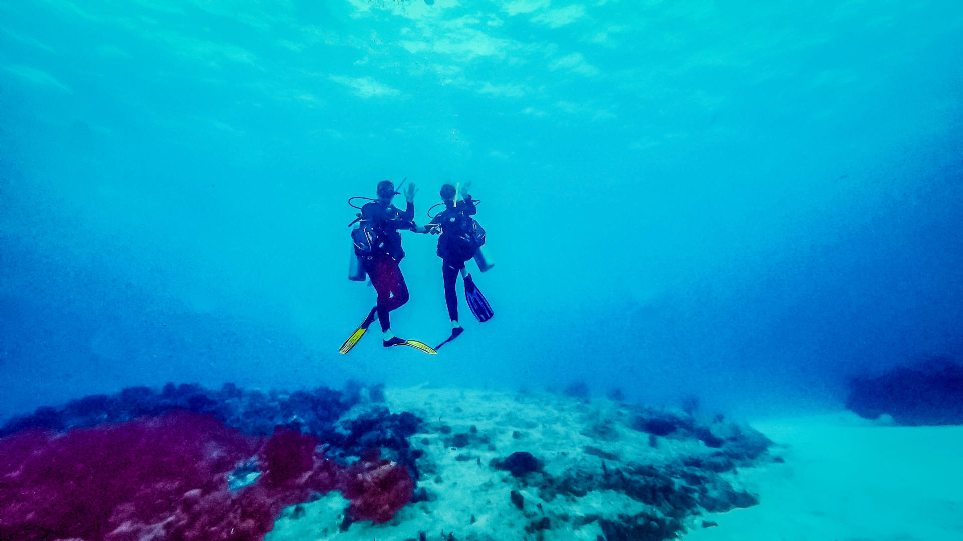 scuba diving in Cozumel (1)