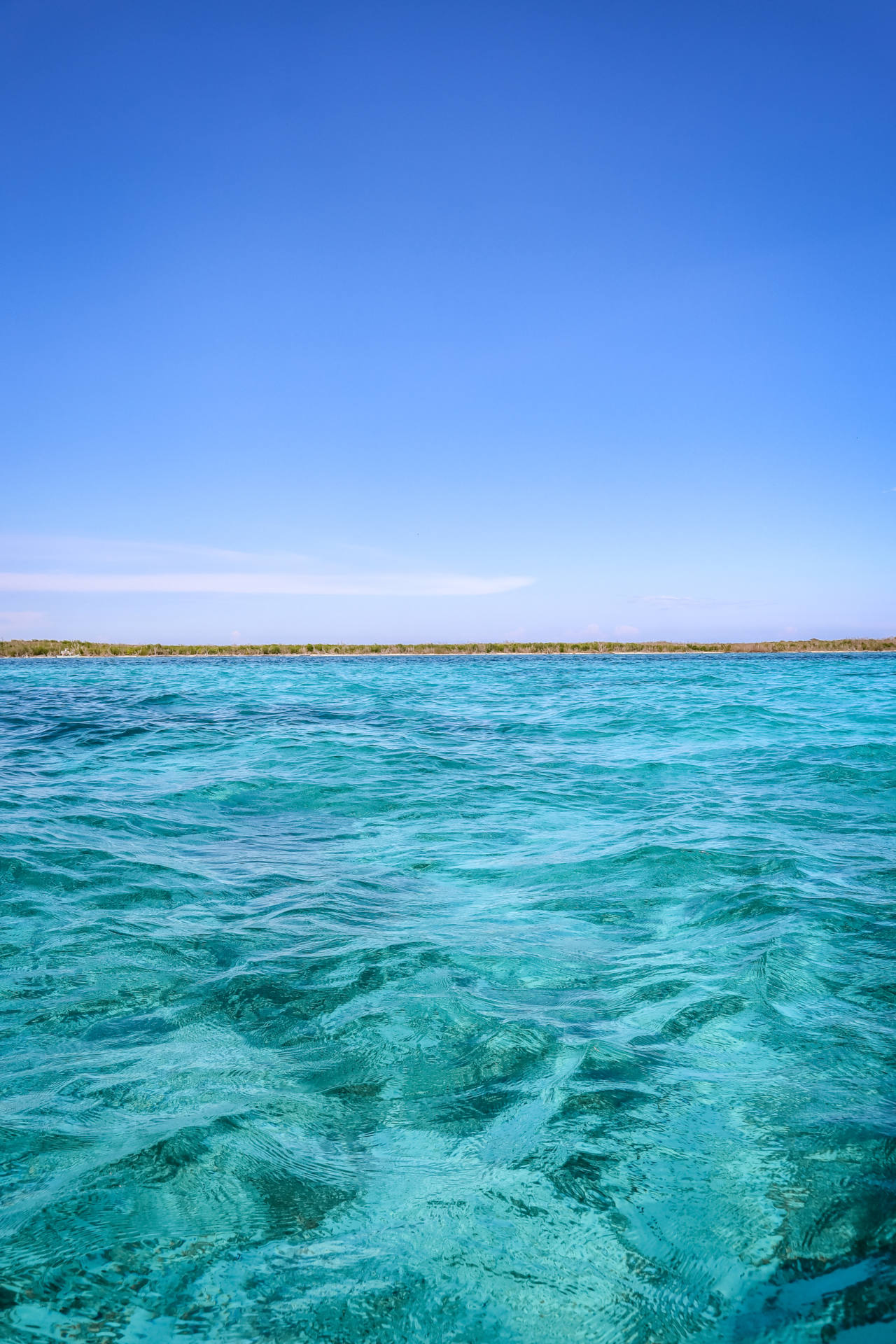 scuba diving in Cozumel (20)