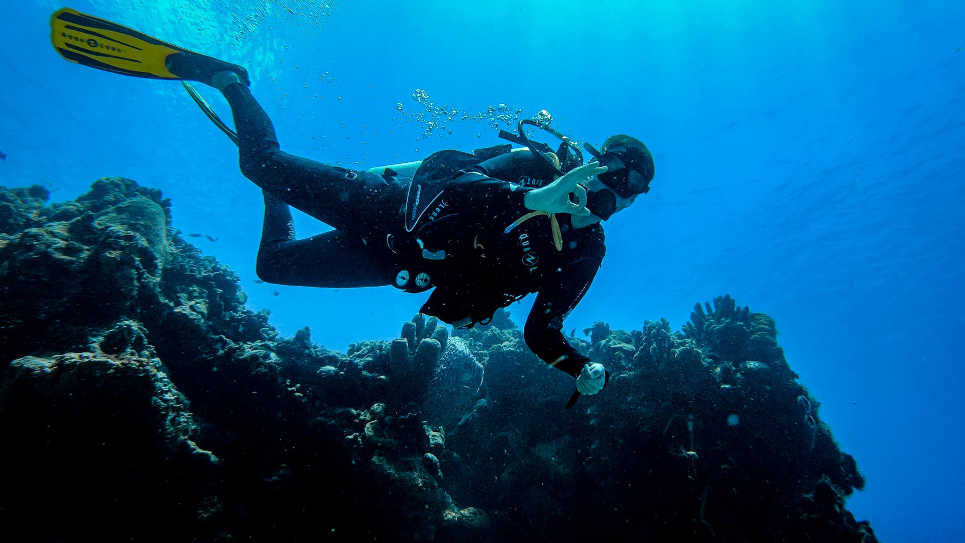scuba diving in Cozumel (22)