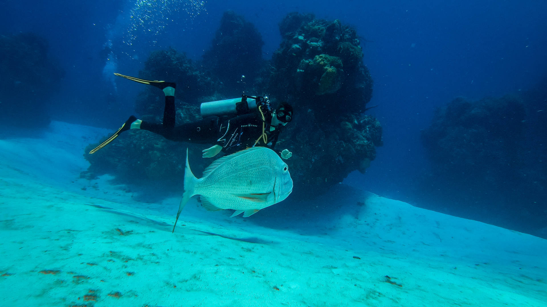 scuba diving in Cozumel (23)