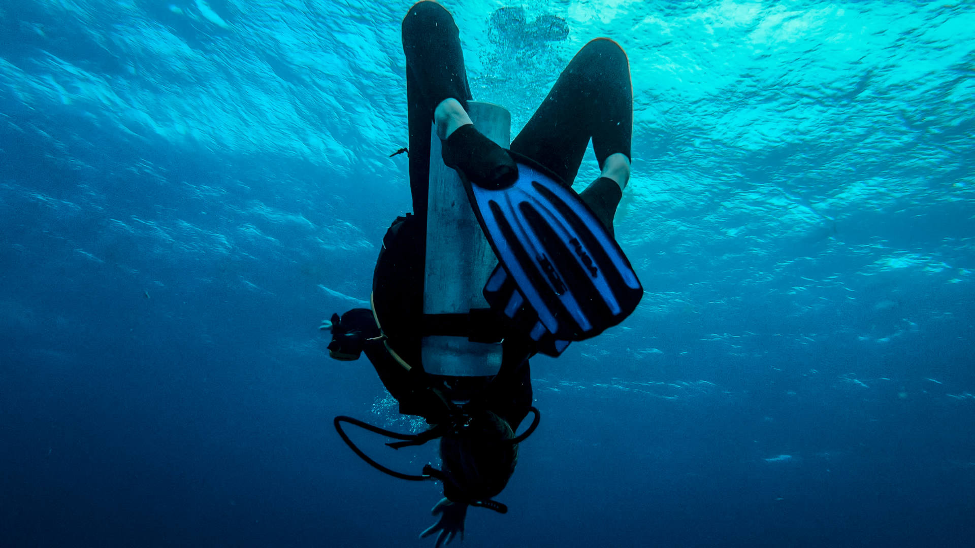 scuba diving in Cozumel (25)