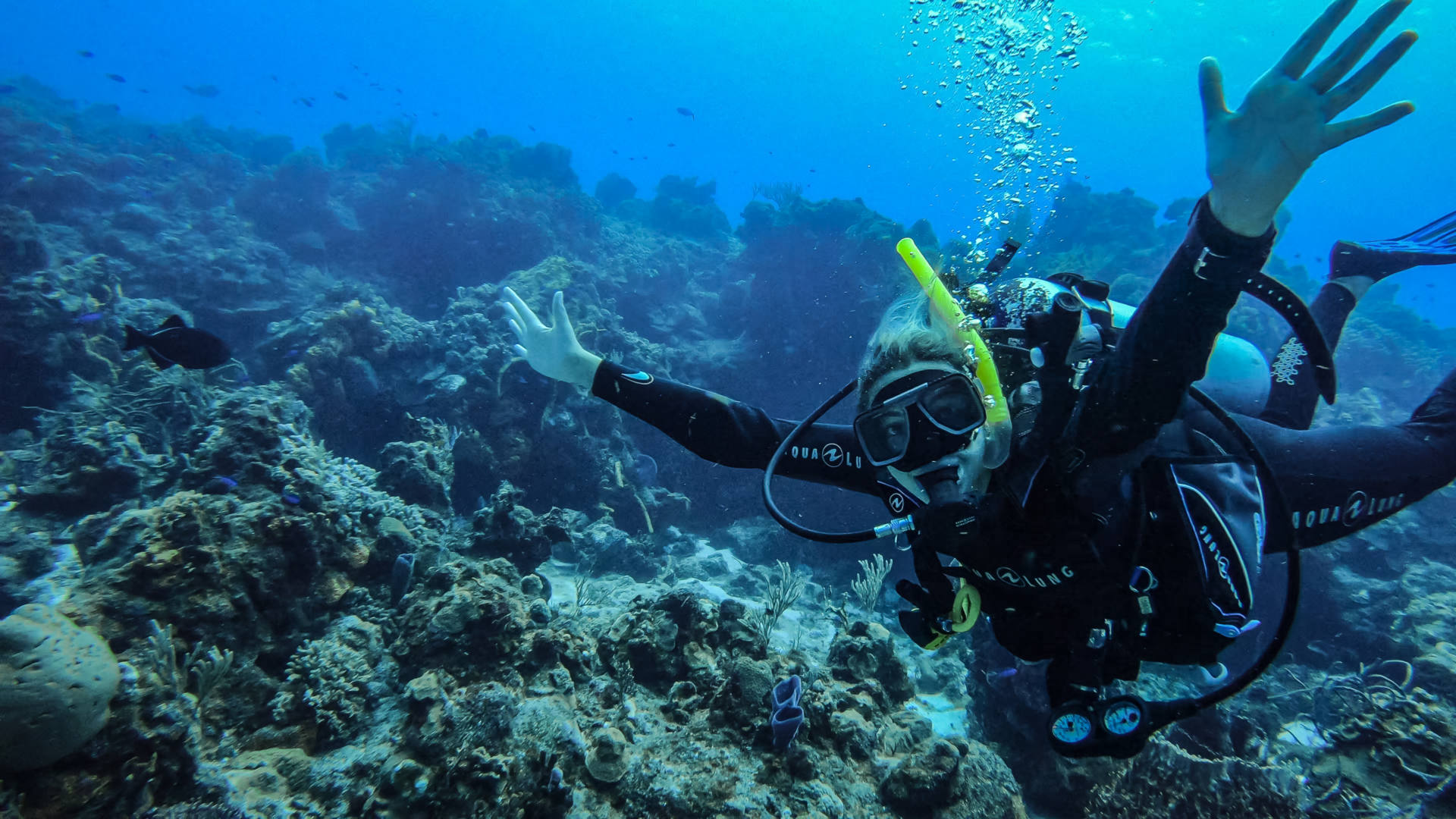 scuba diving in Cozumel (6)