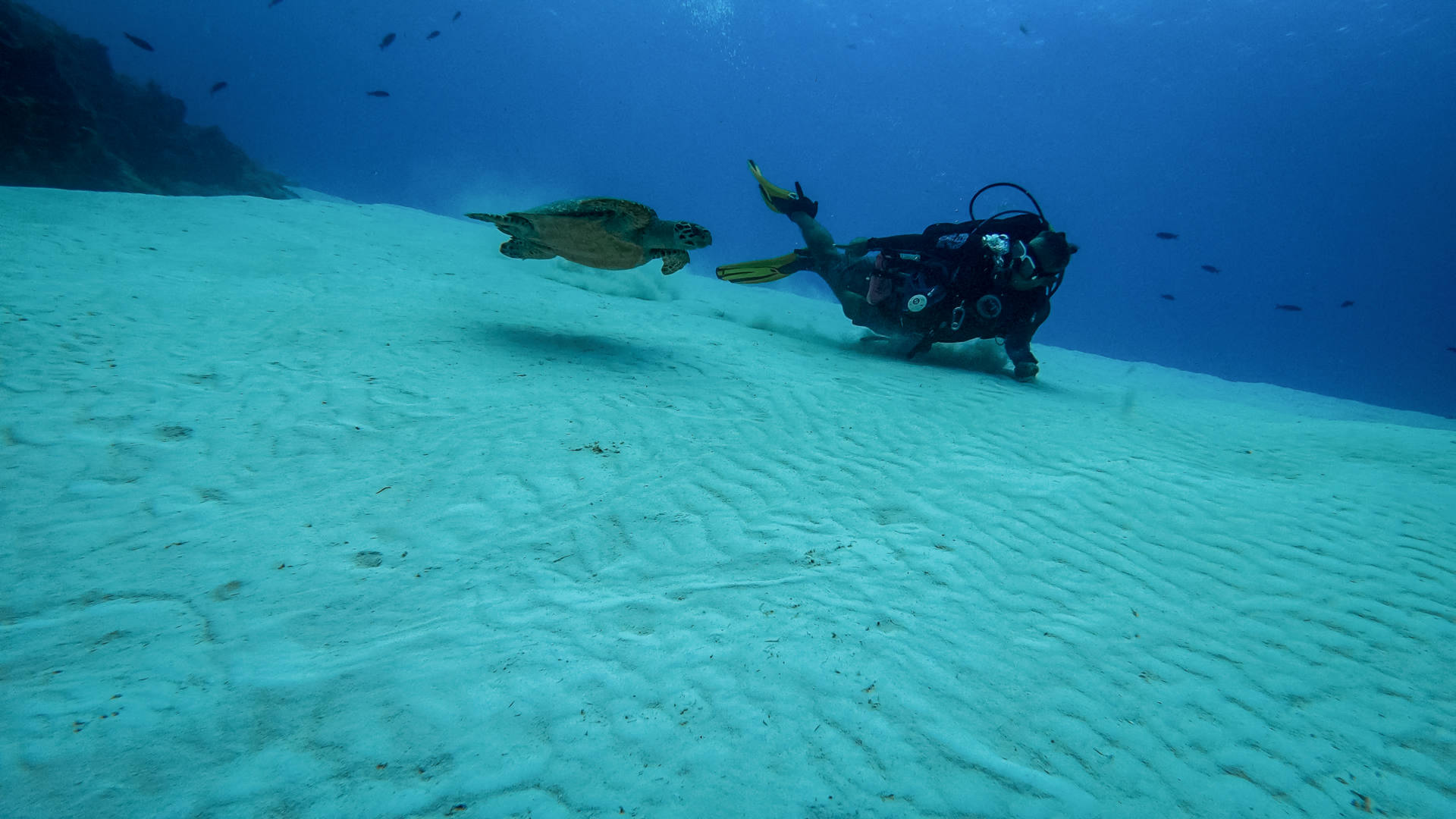 scuba diving in Cozumel (7)