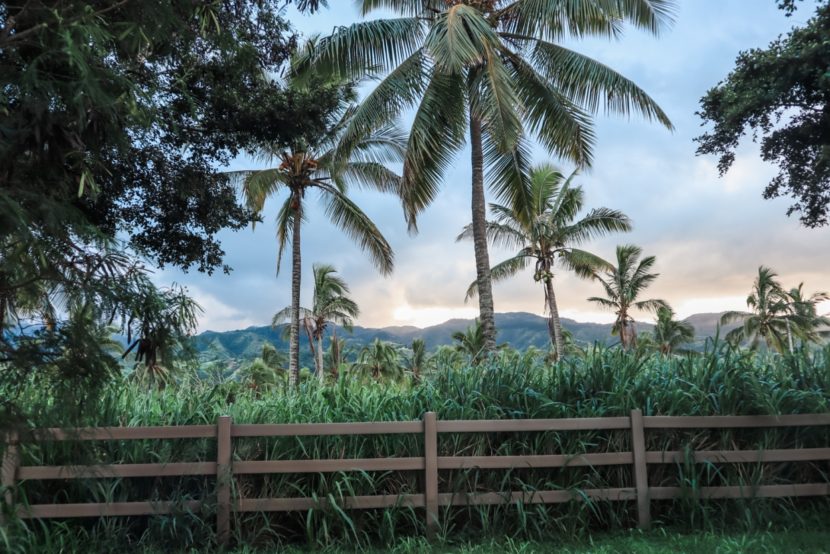 best things to do on Oahu