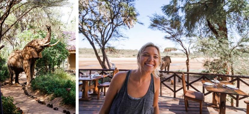 best itinerary for a Kenya safari