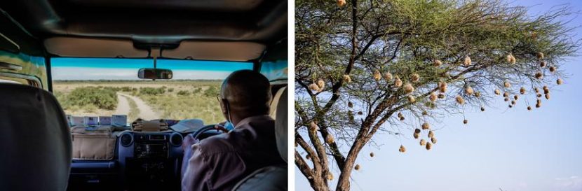 best safari in kenya