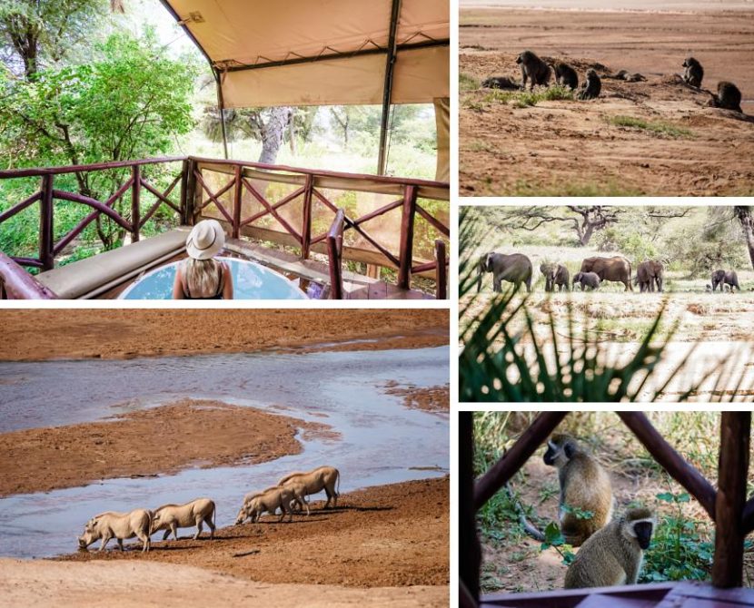 best itinerary for a Kenya safari