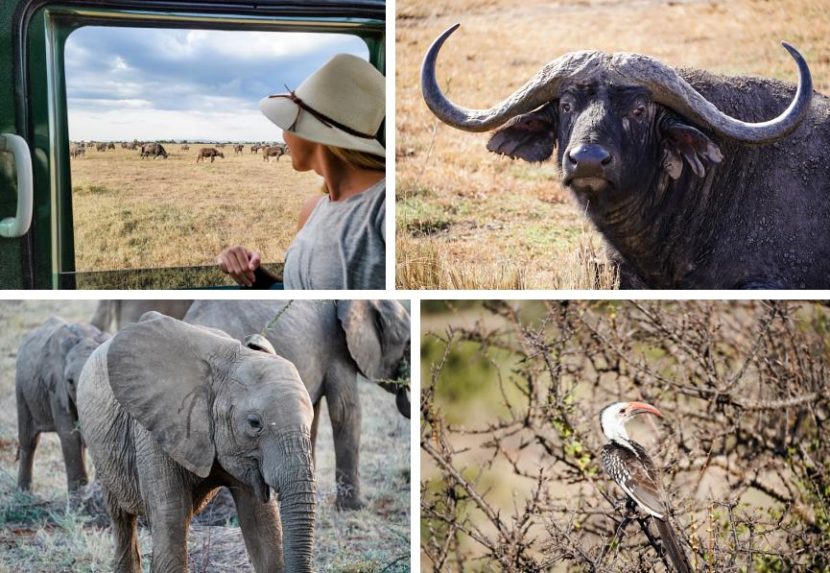 best itinerary for a Kenya safari