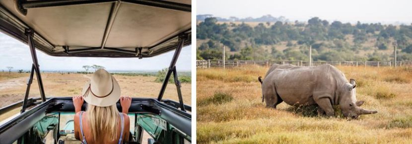 best itinerary for a Kenya safari