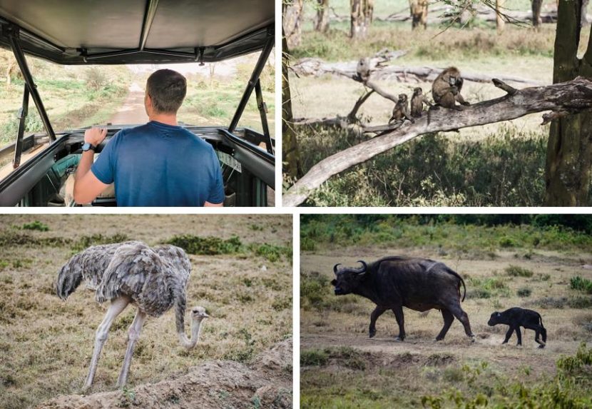 best itinerary for a Kenya safari