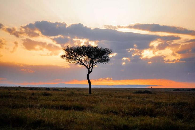 best itinerary for a Kenya safari