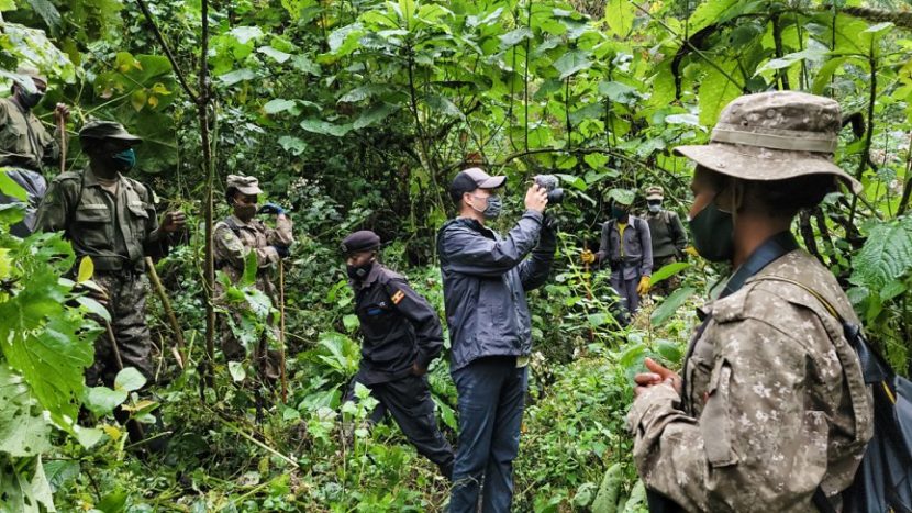 gorilla trekking in Uganda