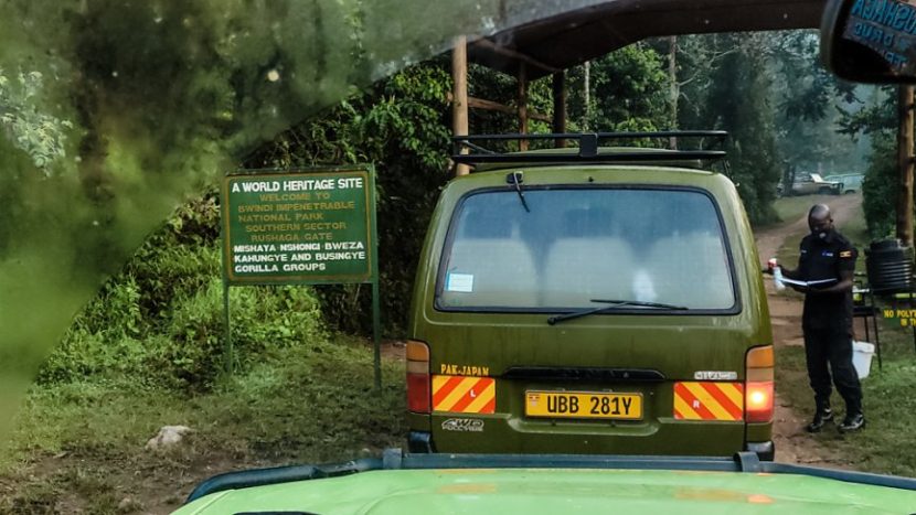 gorilla trekking in Uganda